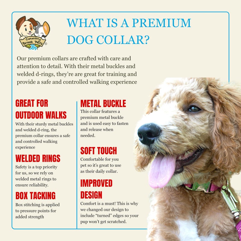 Country Brook Design Country Brook Petz - Premium Nylon Dog Collar with Metal Buckle for Small Medium Large Breeds - 10+ Cool Colors (Small, 3/4 Inch, Royal Blue) - Image 3